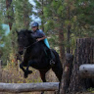 Meet your Posher, Abigail